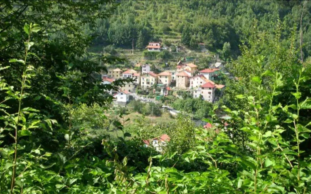 Villa Il Non Ti Scordar Di Me à Valbravenna Extérieur photo
